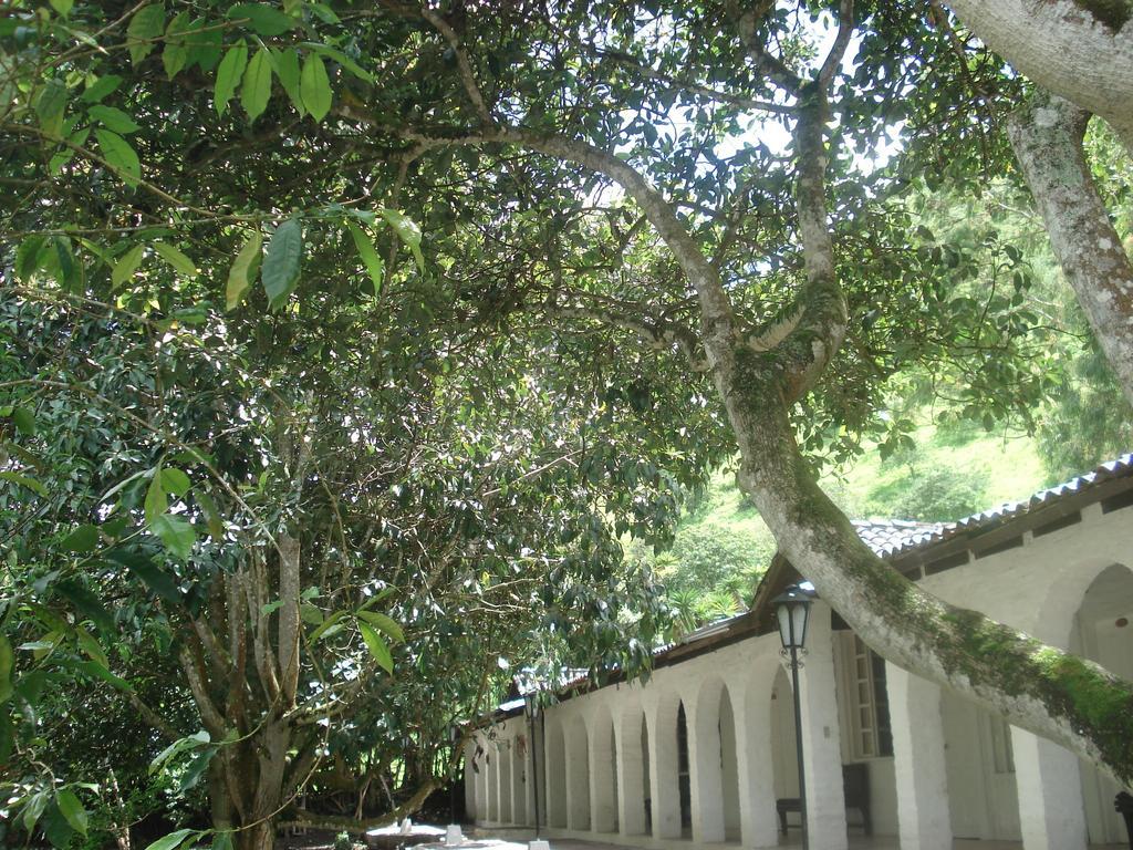 Hostería La Eterna Primavera Huigra Exterior foto